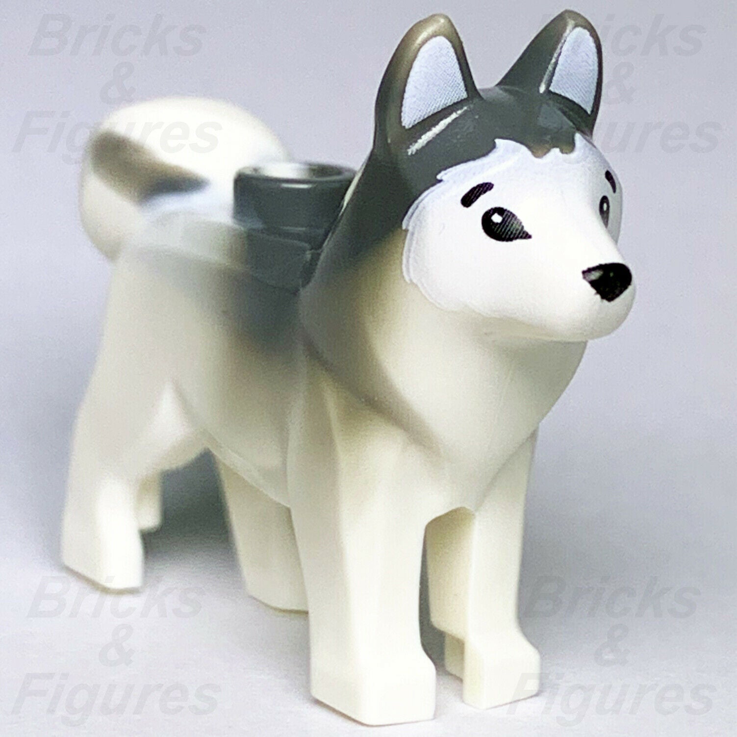 Lego shop husky dog