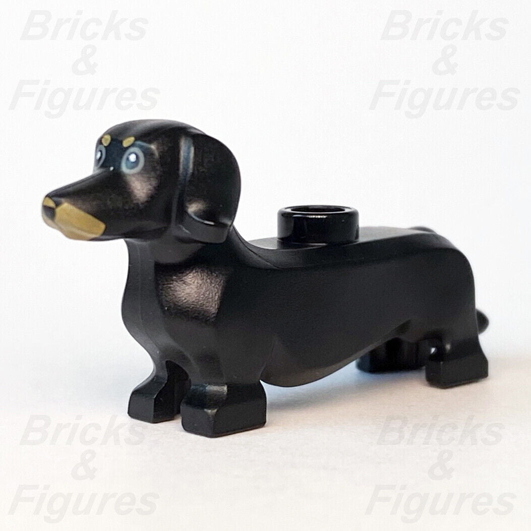 LEGO City Black Dachshund Sausage Dog Animal Build-A-Minifigure BAM 2020 Town