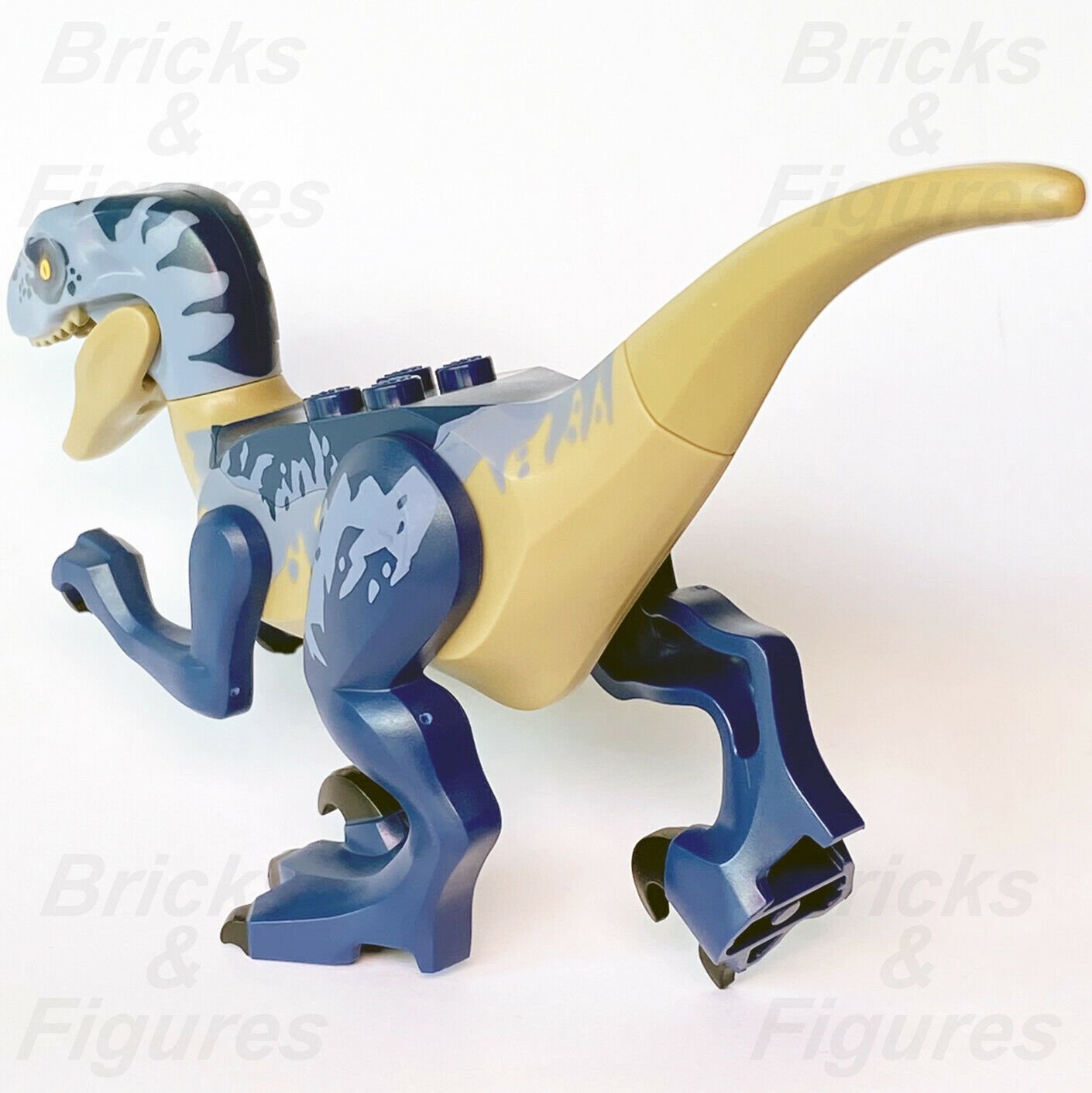 New Jurassic World LEGO Raptor Dark Blue & Sand Blue Markings Dinosaur 75942 - Bricks & Figures