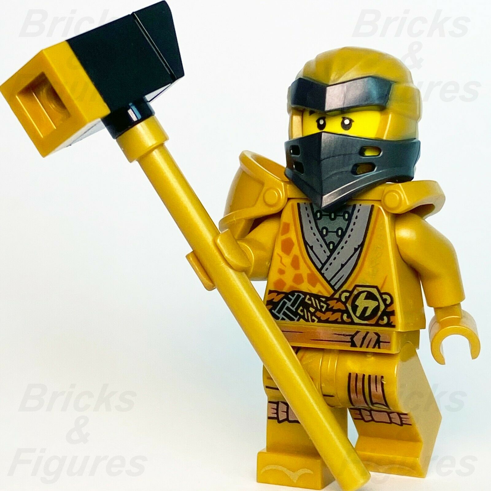 Golden 2025 cole ninjago